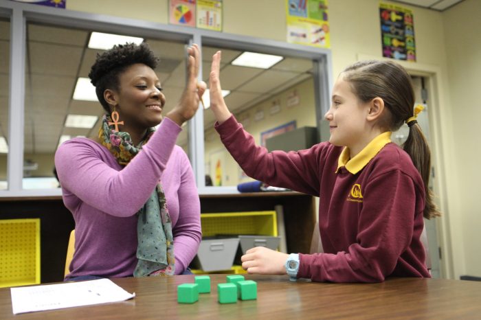 Mental Health Education Counselor